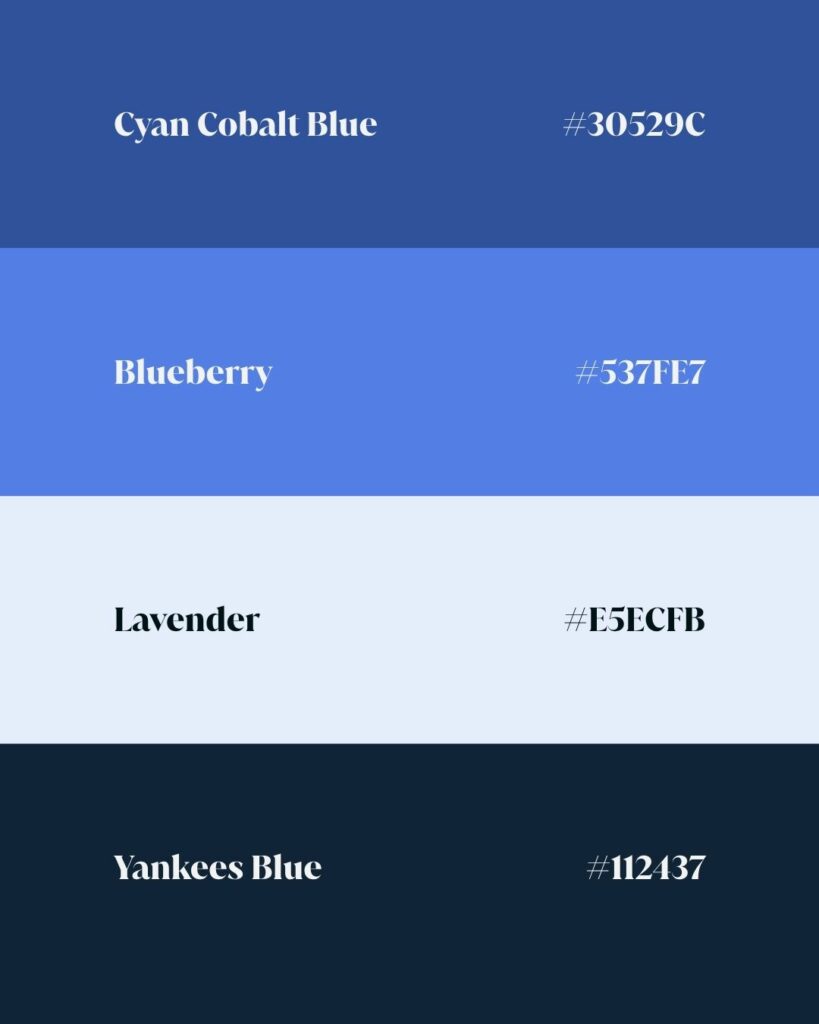 Palette graphique du site du Dr Lionel Neyton conçue par Hops Agency, présentant les couleurs principales de l’identité visuelle